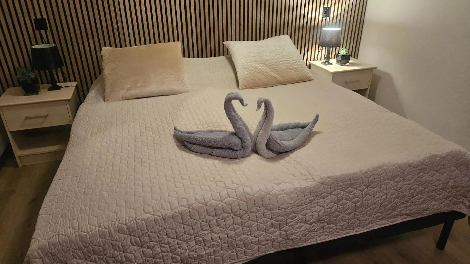 Nautica Jansen Hotel Maastricht Netherlands